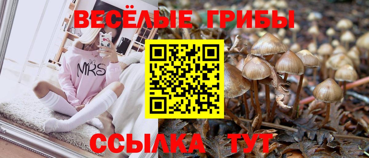 Галлюциногенные грибы GOLDEN TEACHER  Вход с VPN  Сальск  Галлюциногенные грибы мицелий 