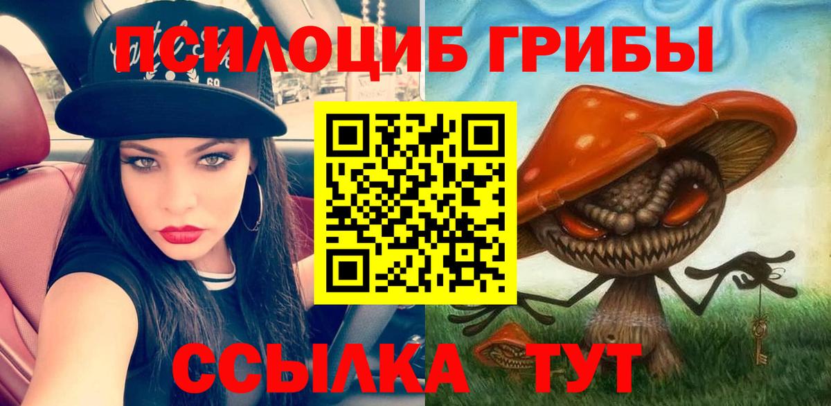 Галлюциногенные грибы Cubensis Сальск